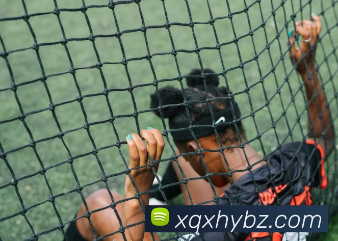 体育数据展示